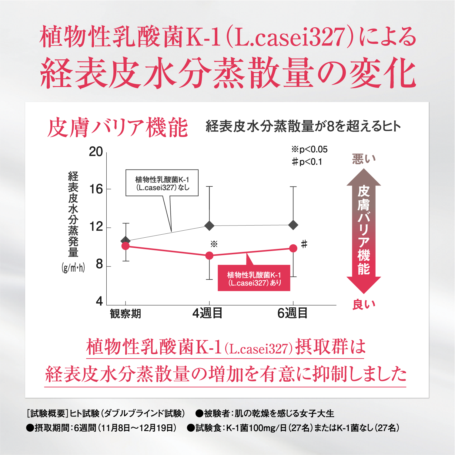 K-1乳酸菌